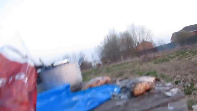 СОБЫ ПРИЧУЯЛИ КАРПА!!!НЕ ОТГОНИШЬ!!! смотреть онлайн