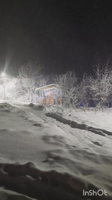 16 декабря 2024 г.