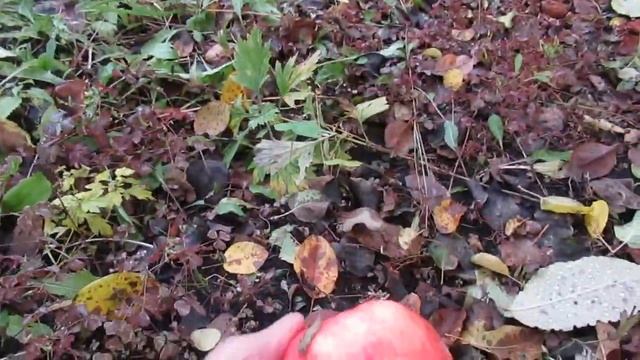 Бесполезно! смотреть онлайн
