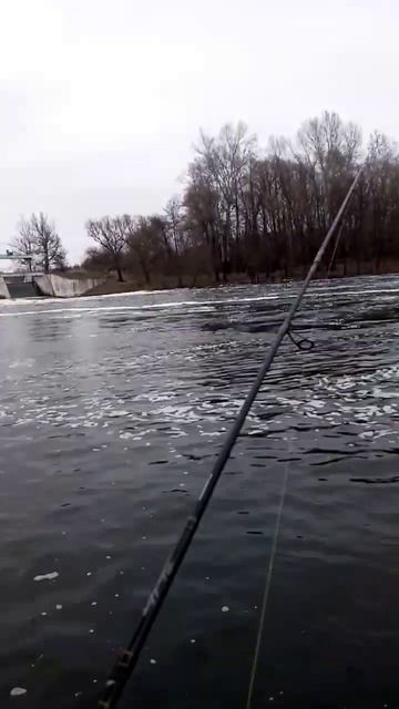 Рибалка на хижака 2023. #2023 #fishing #fishingmaster #catchingfish #fish #ukraine смотреть онлайн