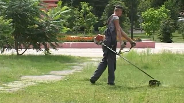 В Россоши ведется борьба с сорной травой смотреть онлайн