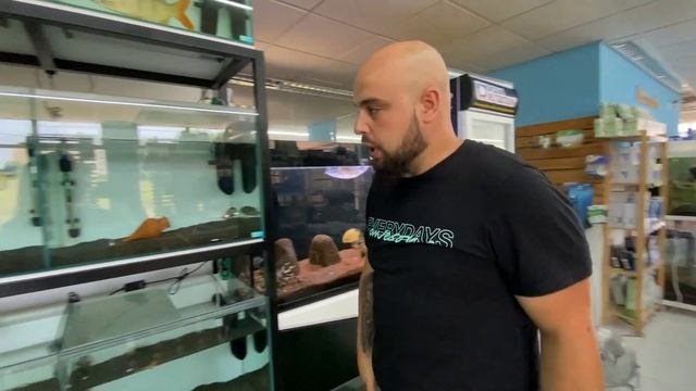 GRANDE IMPORTAÇÃO de PEIXES da Tailândia! Chegaram as tão esperadas AROWANAS e MUITO MAIS! смотреть онлайн