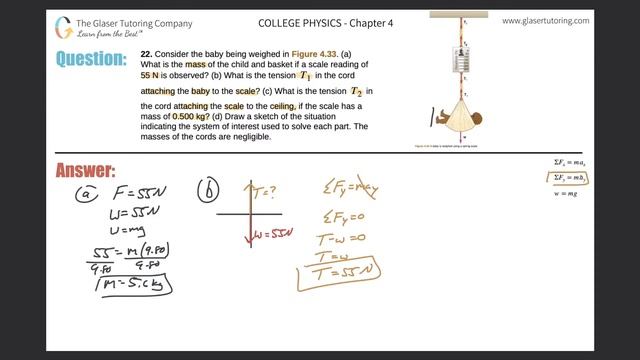 4.22 | Consider The Baby Being Weighed In Figure 4.33. (a) What Is The Mass Of The Child And Basket