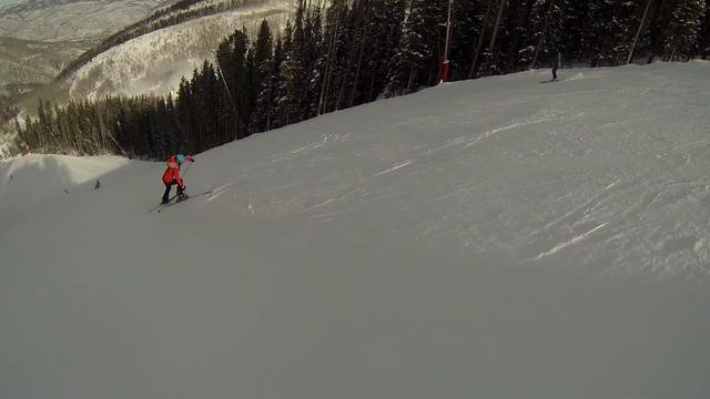 Fall on Birds of Prey смотреть онлайн