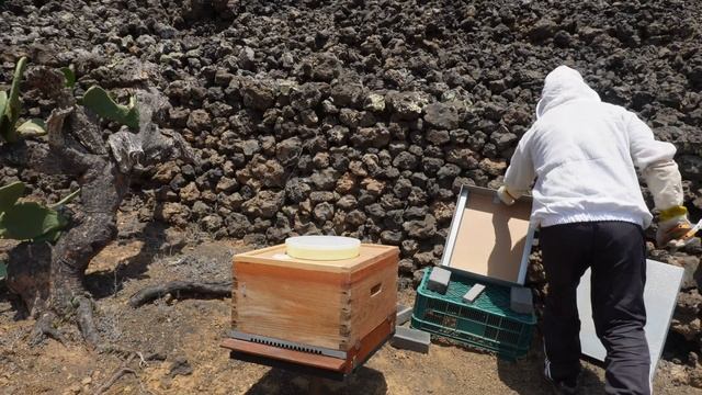 Voy a cambiar cajas viejas para modificarlas y me llevo una sorpresa смотреть онлайн