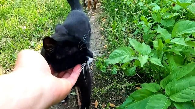 Славянск. 14 мая 2024г. Утро.