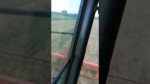 Claas 204 Mega, Metaxades Evros Greece, harvest durum wheat Bronte, part7 смотреть онлайн