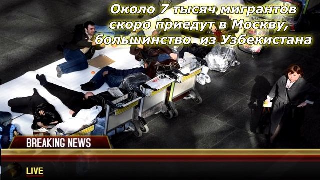 ХОРОШИЕ НОВОСТИ МИГРАНТЫ! ОКОЛО 7 ТЫСЯЧ МИГРАНТОВ смотреть онлайн