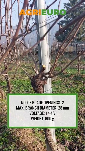 Here's the Volpi PV295 Battery-powered Electric Pruning Shears - 2x 14.4V 2.5Ah 🌿 #shorts смотреть онлайн