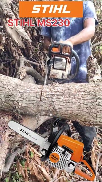 Shorts video STIHL MS 230 смотреть онлайн