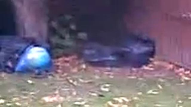Is It Pellet Proof? Series 2 Episode 2