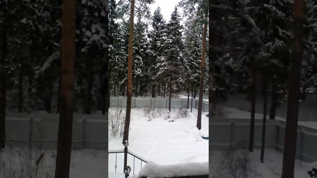 2016 11 13 14 02 21 смотреть онлайн