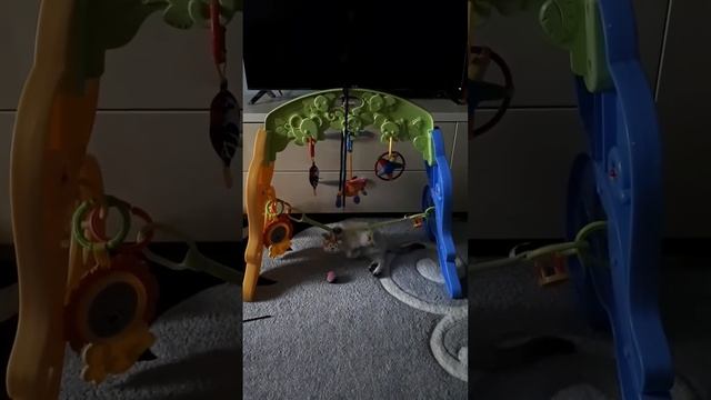 Игровой центр для котёнка Невской маскарадной смотреть онлайн