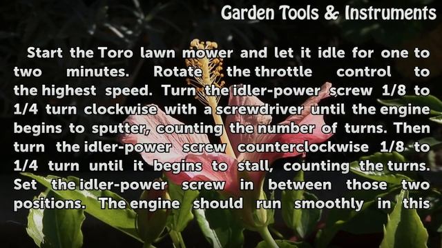 How to Adjust the Idle on a Toro Mower смотреть онлайн