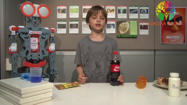 Мирский Петр - Наука своими руками смотреть онлайн