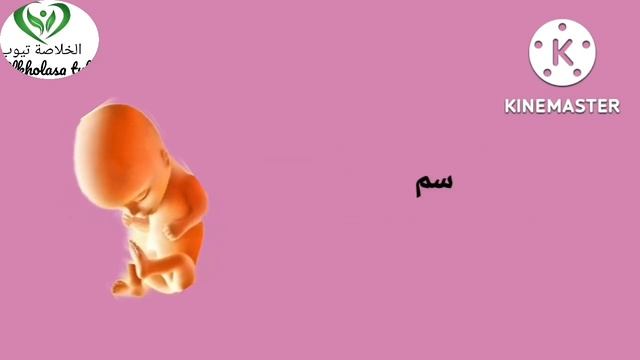 كم يكون وزن الجنين في الشهر التاسع من الحمل الطبيعي 2كيلو أو 4كيلواو ٢ونص وأسباب زيادة وزن الجنين смотреть онлайн