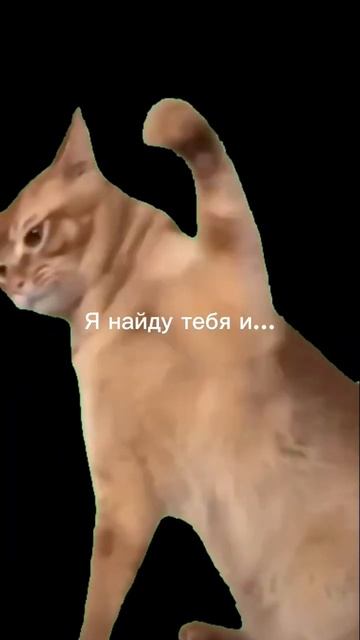 перезалив 5 части #кринж #реки #жиза #жизненно #коты #алежаобухов смотреть онлайн