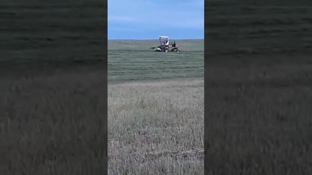 Е 303 + John Deer 590 сенокос 2022