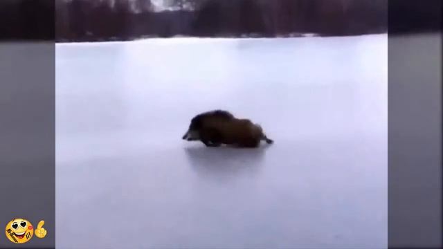 Приколы февраль 2015 смотреть онлайн