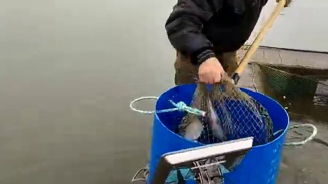 18 сентября 2022 г. смотреть онлайн