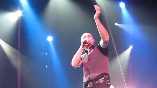 Tragically Hip Pigeon Camera Live in Kingston смотреть онлайн