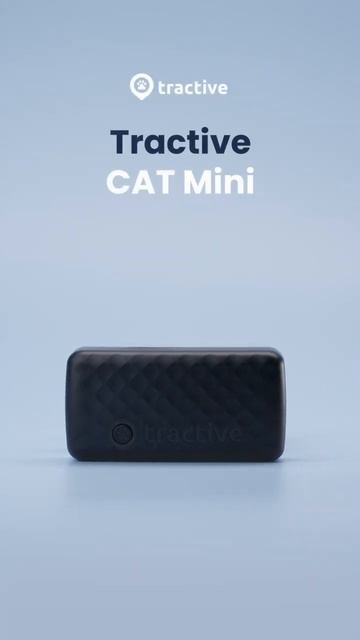 Our CAT MINI - GPS for cats is now available in more colors 😻🩵🤎 #tractivegps #catgps #cattracker смотреть онлайн