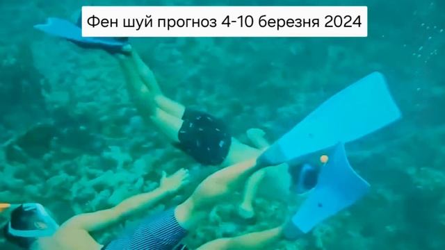 Фен шуй прогноз 4-10 березня 2024 @tarosecrets смотреть онлайн