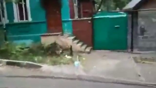 22 августа 2017. Перекресток пер. Державинского/ул.Седова 22 августа 2017. смотреть онлайн