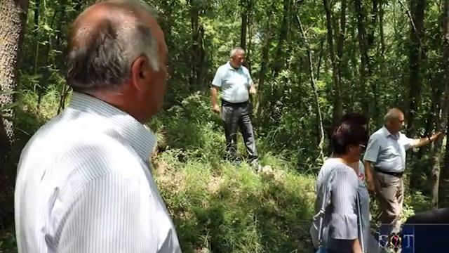 Ruajtja dhe miradministrimi i pyjeve shqiptare смотреть онлайн