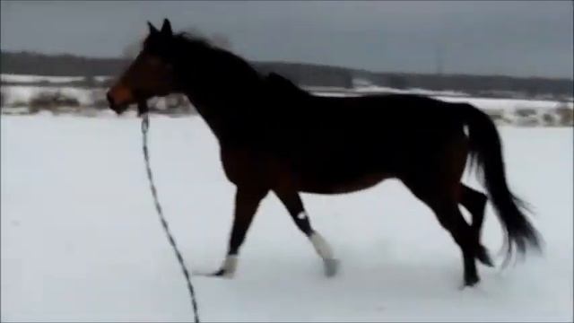Работа на корде смотреть онлайн