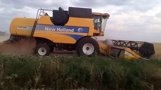 закат в Ростове на пыльном поле смотреть онлайн