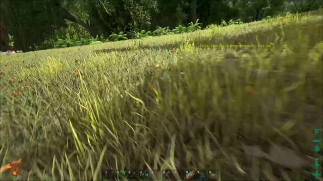 ARK: Survival Evolved - MESOPITHECUS MIT KIBBLE ZÄHMEN *Lets play ARK: Survival Evolved смотреть онлайн