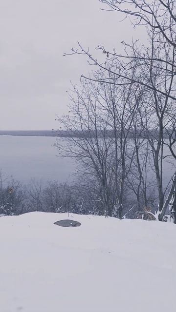 5 ноября 2024 г.