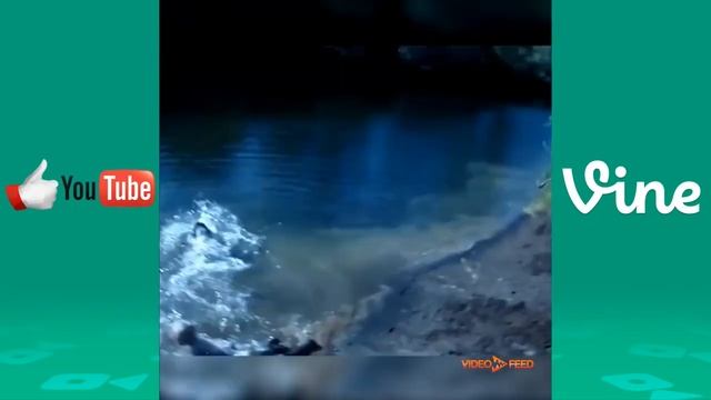 Я пол часа ржала(попробуй не засмеяться челендж) смотреть онлайн