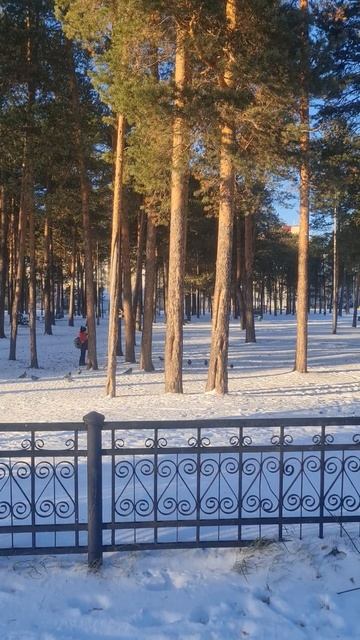 дети и белка #здоровье #саморазвитие #психология #пп #стройка смотреть онлайн