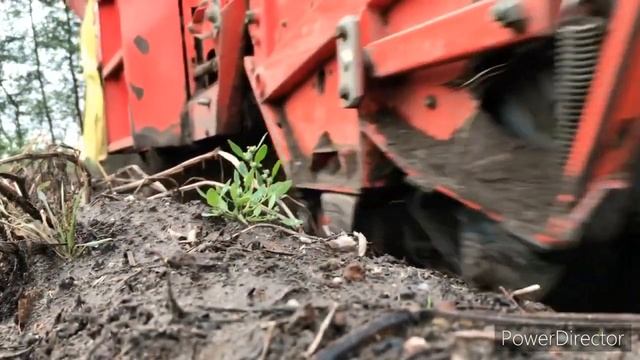 KOPANIE ZIEMNIAKÓW/POTATO HARVESTING 2020|Grimme SE 75-20,Massey Ferguson 5710,Case Maxxum 115 смотреть онлайн