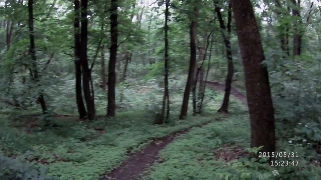 Вело-трасса г.Светловодск