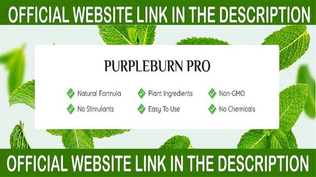 PurpleBurn Pro Reviews - PurpleBurn Pro Weight Loss Supplement - PurpleBurn Pro Alert - PurpleBurn смотреть онлайн