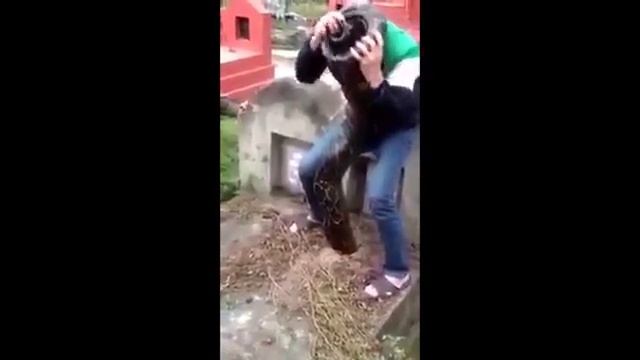 Змея залезает в магилу смотреть онлайн