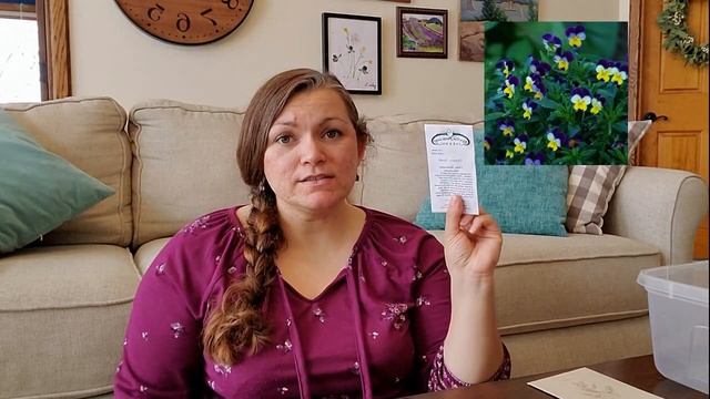 Seeds for My Kitchen Garden | Heirloom Seed Haul | Potager 2020 смотреть онлайн