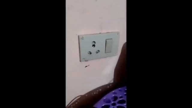 Сборник белуги на пол часа на русском 1 часть смотреть онлайн
