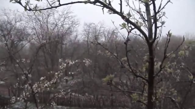 21 апреля. В Полтаве снова снег! смотреть онлайн