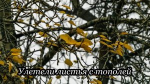 Улетели листья с тополей