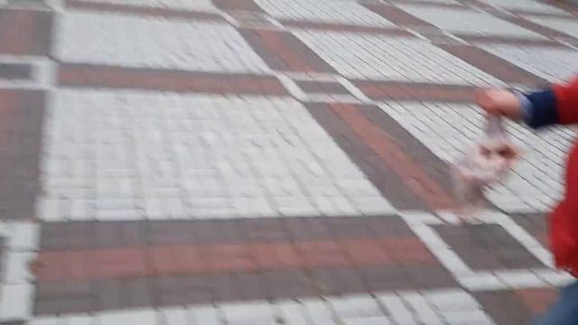 Утреннее угощение заколесным левикам. смотреть онлайн