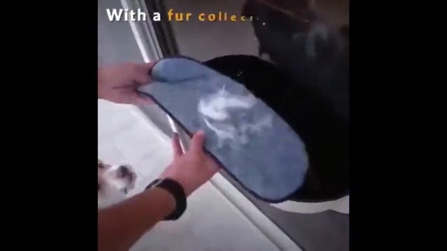 Best Hammock Bed for Cats 🔥🔥 смотреть онлайн