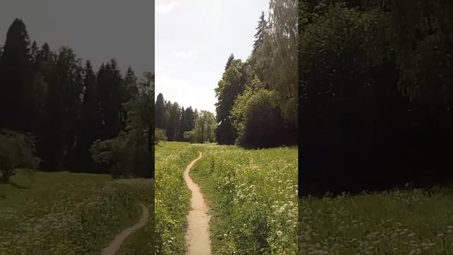 Санкт-Петербург. Лето 2024. Павловский парк. Горбатый мост и Долина реки Славянка. смотреть онлайн