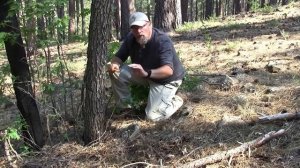 Silky - Bigboy 2000 XL Review English Version