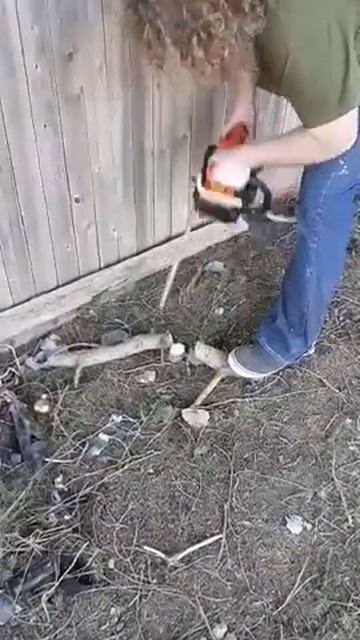 testing a vintage echo chainsaw смотреть онлайн