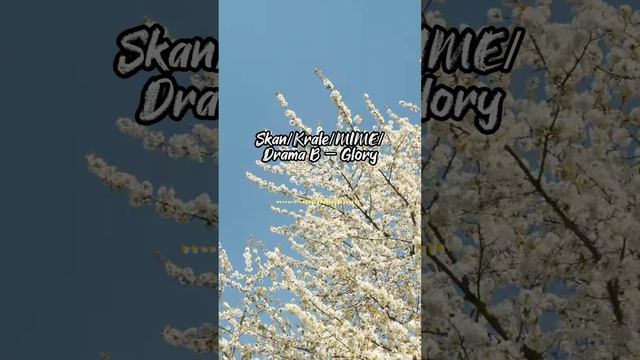 All Violin Parts Of Skan