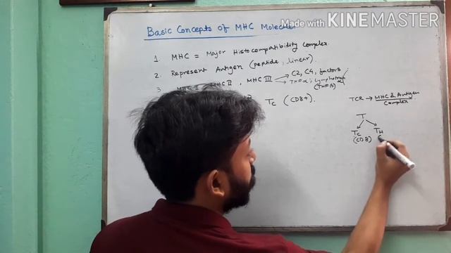 "Basic Concepts Of MHC Molecules": Basic Immunology смотреть онлайн
